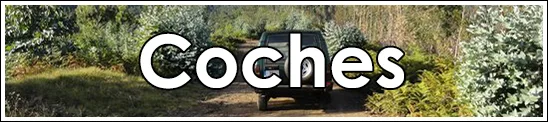 Madeira Banner Tours