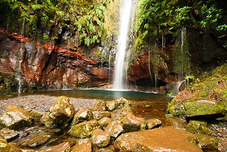 Levadas de Madeira Cascada das 25 fontes