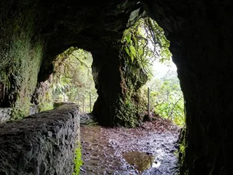 Levadas de Madeira levada Caldeirao Verde
