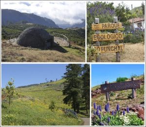 ecoturismo en madeira parque ecológico de funchal