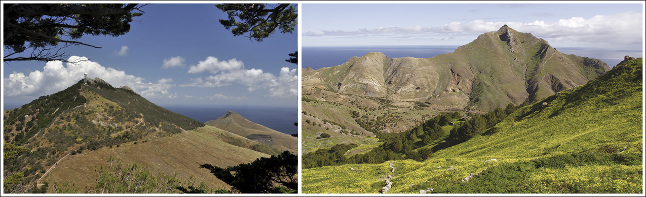 montañas de madeira pico do facho