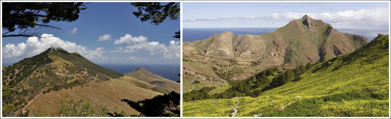 montañas de madeira pico do facho