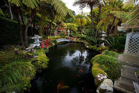 Jardín Tropical Monte Palace Funchal