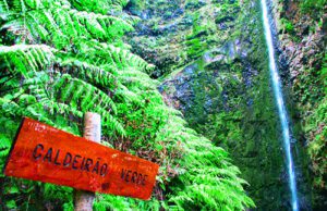 Levada do Caldeirão Verde