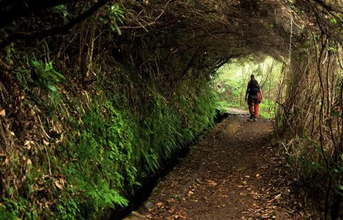 Levada do Caldeirão Verde ii