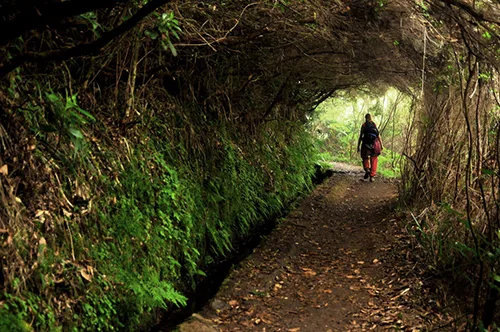 Levada do Caldeirão Verde ii